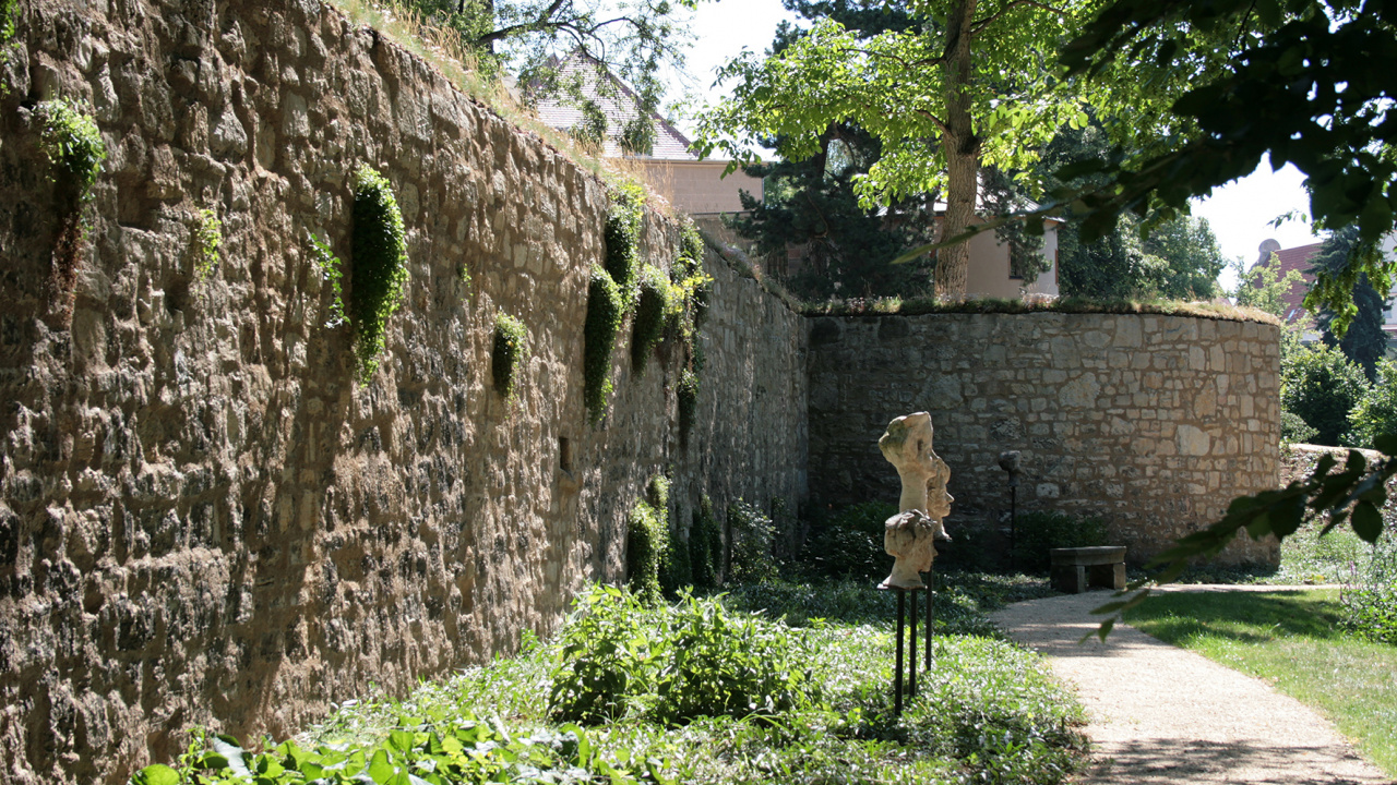 Domgarten, Naumburg